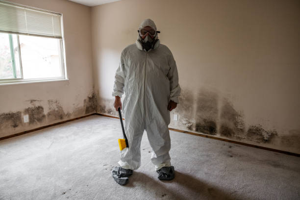 Environmental Consulting for Mold Prevention in Sandia Knolls, NM